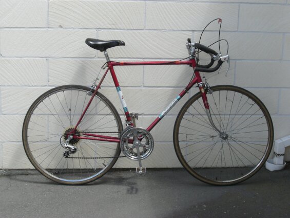 Low-end 10 speed bike